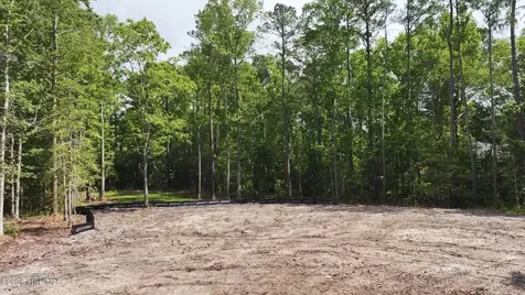 306 Joans Ridge Stella NC 28582