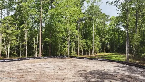 306 Joans Ridge Stella NC 28582