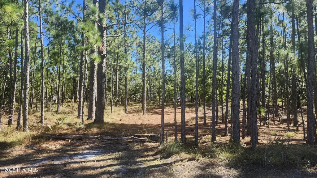 Lot 303 Mission Road Southport NC 28461