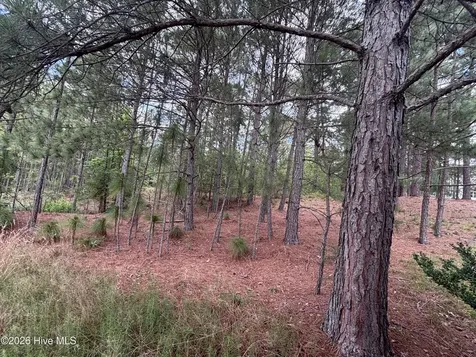 111 Callis Circle West End NC 27376