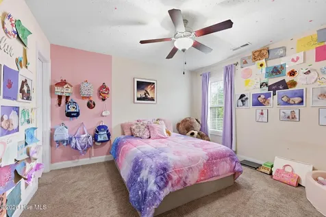 317 Little Egret Lane Swansboro NC 28584