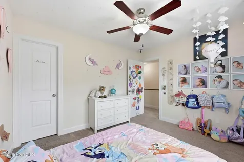 317 Little Egret Lane Swansboro NC 28584