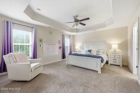 317 Little Egret Lane Swansboro NC 28584