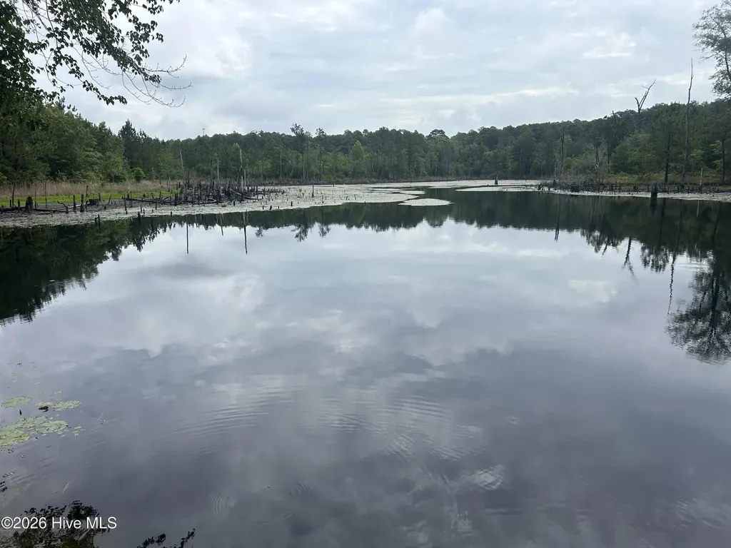 0 E V Hogan Drive Rockingham NC 28379
