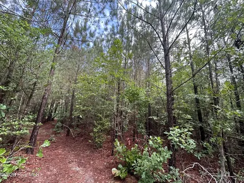 0 E V Hogan Drive Rockingham NC 28379