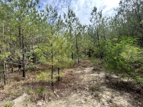 0 E V Hogan Drive Rockingham NC 28379