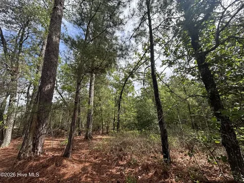 0 E V Hogan Drive Rockingham NC 28379