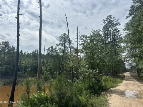0 E V Hogan Drive Rockingham NC 28379