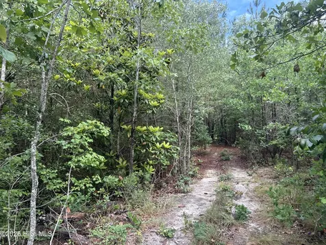0 E V Hogan Drive Rockingham NC 28379