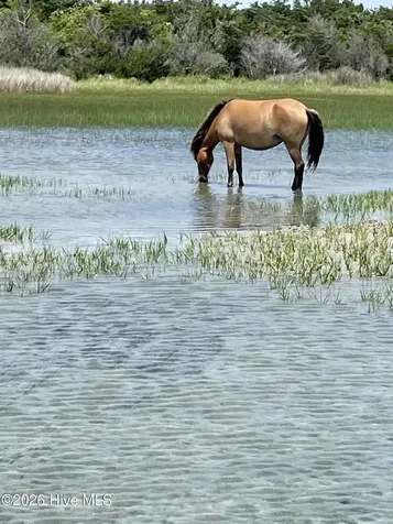 135 Gallants Point Road Beaufort NC 28516