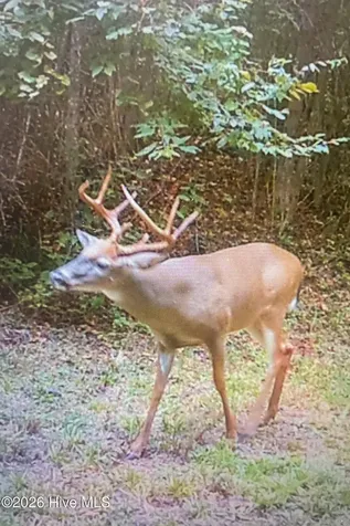 846 Briggs Road North Augusta SC 29860
