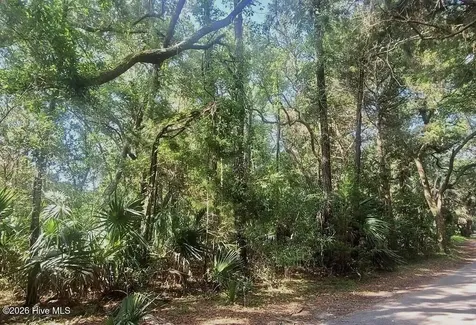 64 Dowitcher Trail Bald Head Island NC 28461