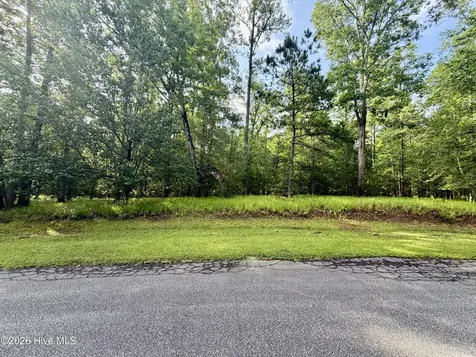 Lot 98 Waters Edge Drive Chocowinity NC 27817