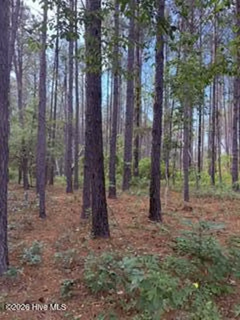 645 Bent Knee Road Keysville GA 30816