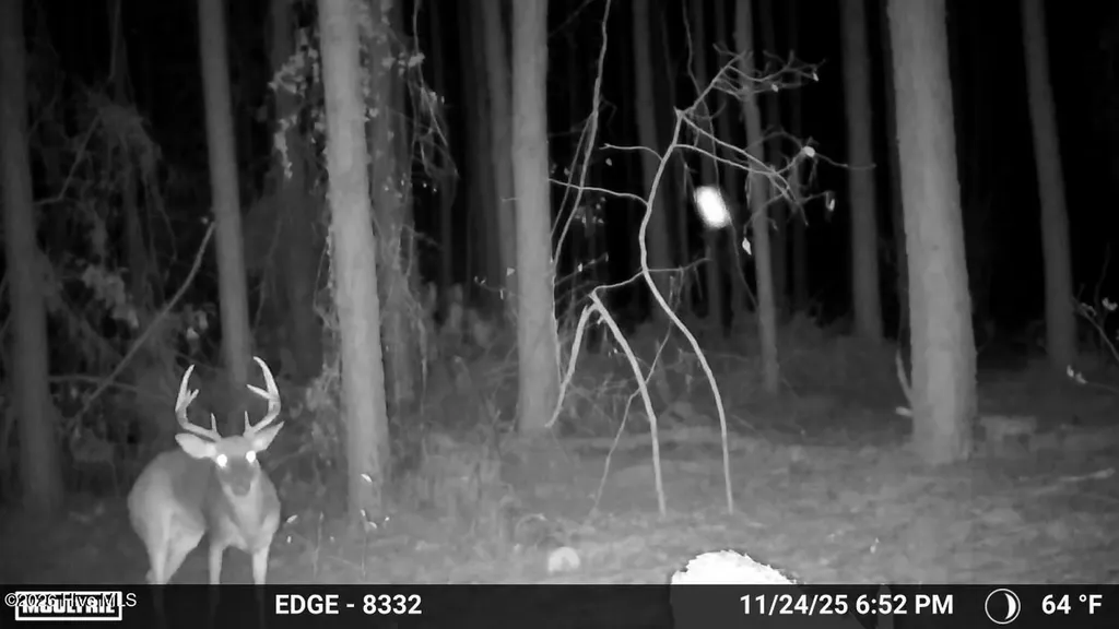 645 Bent Knee Road Keysville GA 30816