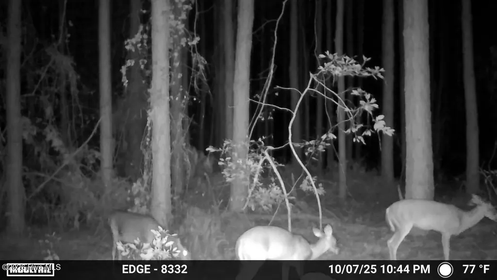 645 Bent Knee Road Keysville GA 30816