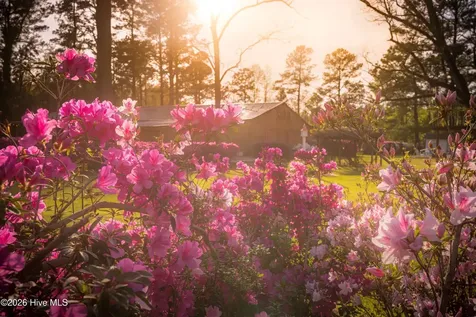 2589 Sidney Cherry Grove Road Clarendon NC 28432