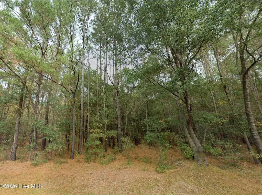 0 Shiloh Road Willard NC 28478