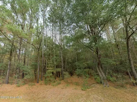 0 Shiloh Road Willard NC 28478