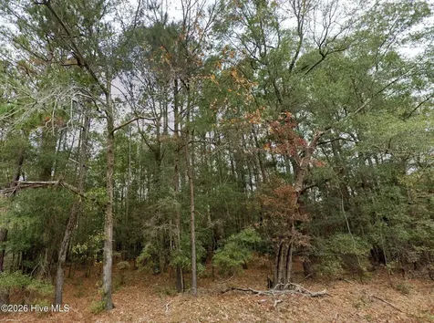 0 Shiloh Road Willard NC 28478