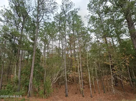 0 Shiloh Road Willard NC 28478