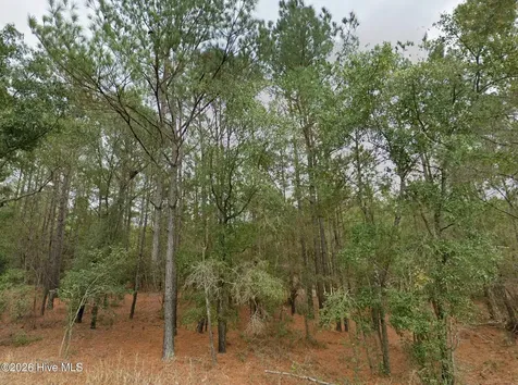 0 Shiloh Road Willard NC 28478