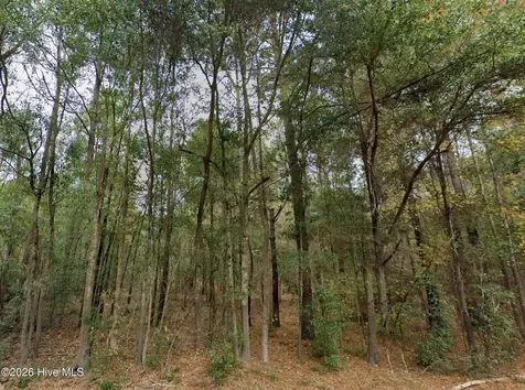 0 Shiloh Road Willard NC 28478