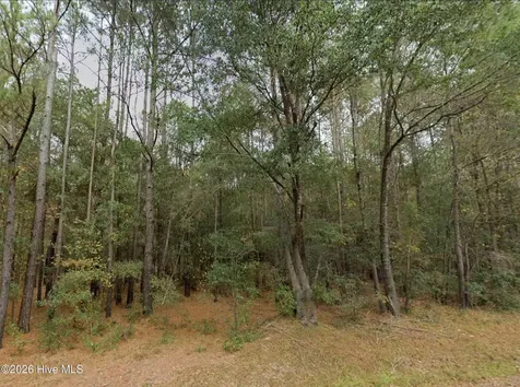 0 Shiloh Road Willard NC 28478