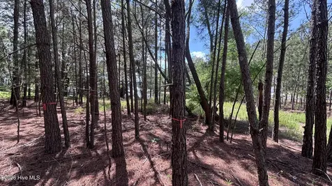 449 Longleaf Drive West End NC 27376