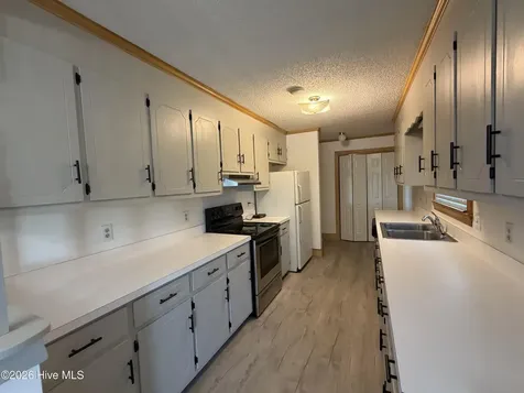 1437 Louie Pollock Road La Grange NC 28551