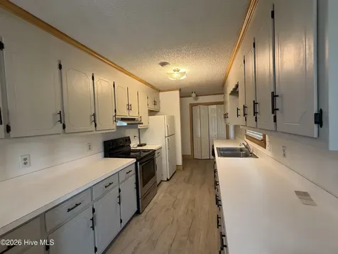 1437 Louie Pollock Road La Grange NC 28551
