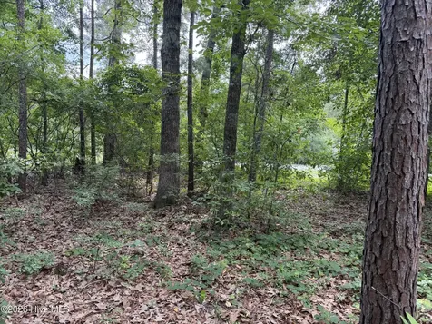 118 Ferret Run Lane New Bern NC 28562