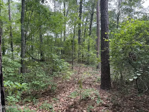 118 Ferret Run Lane New Bern NC 28562
