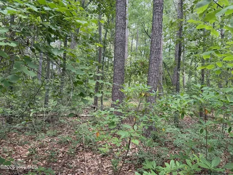 118 Ferret Run Lane New Bern NC 28562