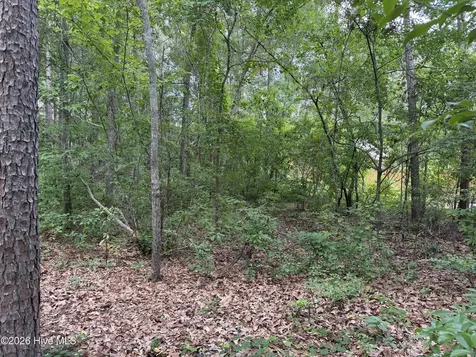 118 Ferret Run Lane New Bern NC 28562
