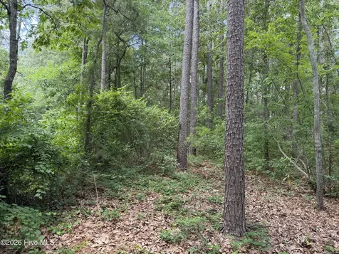 118 Ferret Run Lane New Bern NC 28562