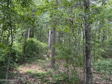 118 Ferret Run Lane New Bern NC 28562