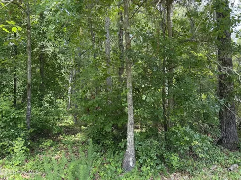 118 Ferret Run Lane New Bern NC 28562