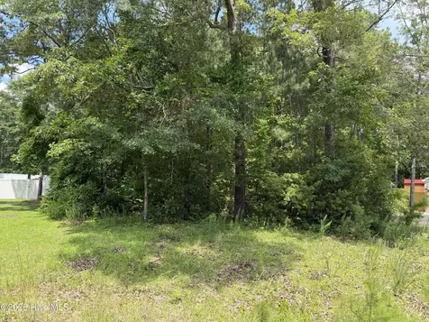 118 Ferret Run Lane New Bern NC 28562