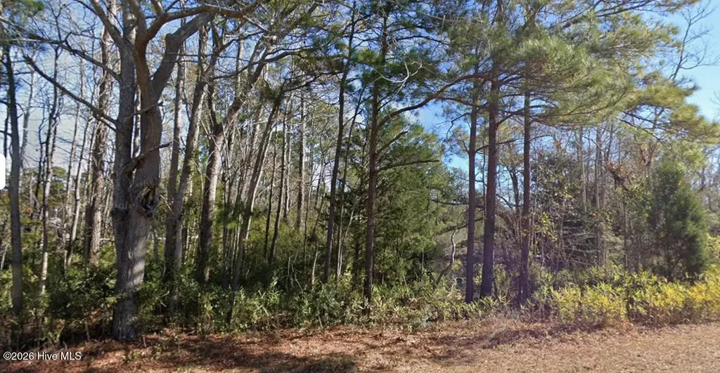 1616 Star Cross Drive SW Shallotte NC 28470