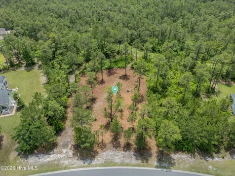 9632 Fallen Pear Lane NE Leland NC 28451