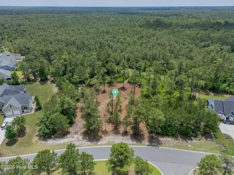 9632 Fallen Pear Lane NE Leland NC 28451