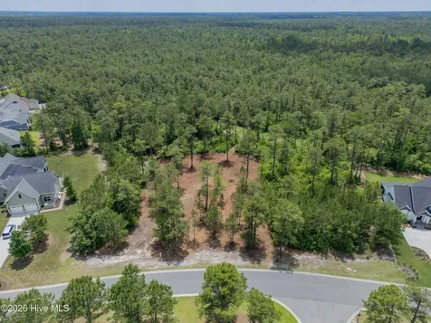9632 Fallen Pear Lane NE Leland NC 28451