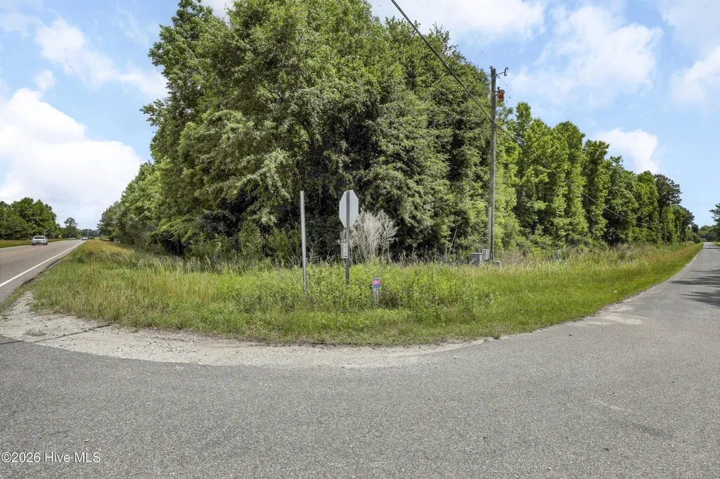 Lot 1 Us Hwy 117 Bypass S Burgaw NC 28425