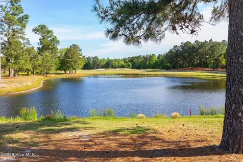 1010 Rosea Court Leland NC 28451