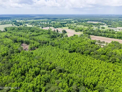 Lot 6 Us Hwy 117 S Burgaw NC 28425
