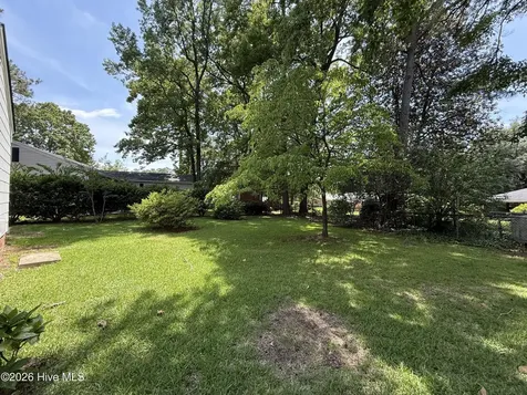 407 Vann Drive Clinton NC 28328