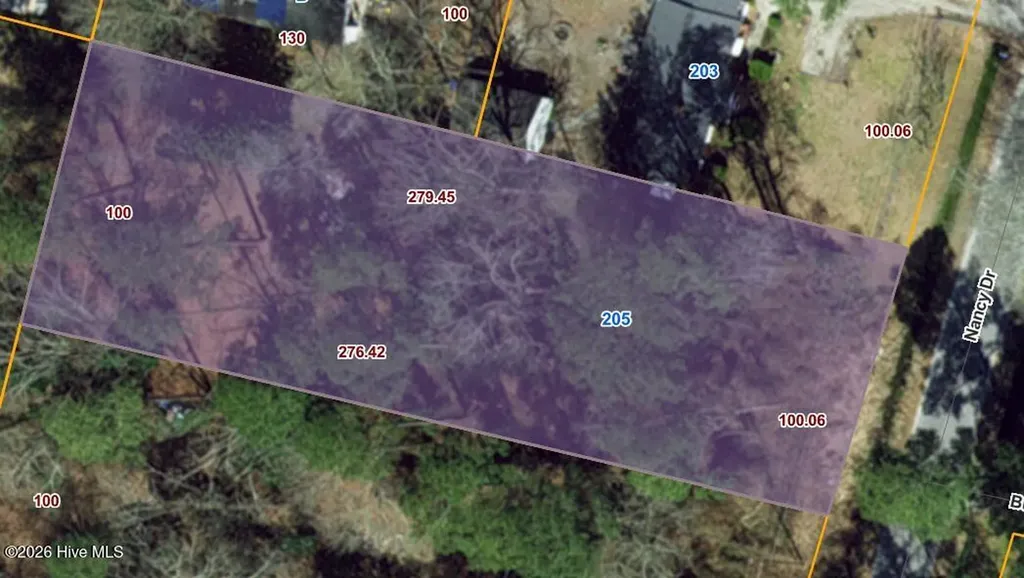205 Nancy Drive Dudley NC 28333