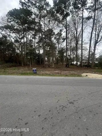 205 Nancy Drive Dudley NC 28333