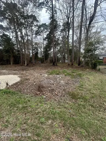 205 Nancy Drive Dudley NC 28333